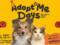 AdoptMe Days: в Киеве состоится 17-й фестиваль, где будут искать дом животным из приютов