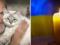 Второго шанса Бог не дал: что известно о Сергее Молибоге, который погиб в результате попадания российской ракеты вблизи Чернигов
