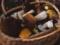 Mushroom season: rituals, folk traditions and conspiracies to find a generous crop