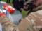 На Львовщине военный в СОЧ пришел в магазин с гранатой