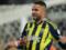 Everton got rid of Fenerbahce striker