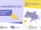 Вакансии, учебные программы, гранты: в Украине создали карту возможностей для ВПЛ