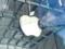 Пользователи в ЕС останутся без Siri AI после выхода iOS 27