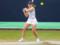 Снигур потерпела поражение в четвертьфинале WTA 250 в Нидерландах