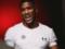 Joshua criticized Fury and challenged the entire division