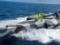 Украина продемонстрировала морской дрон SIRENA для борьбы с авиацией и дронами РФ