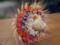Маковый Спас: что нужно освятить в церкви