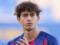 Barcelona sold their Vihovanets to Celti